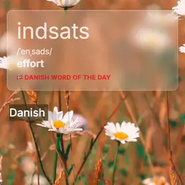 Word of the day – Indsats